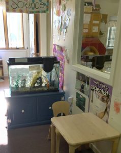 preschool-science-area